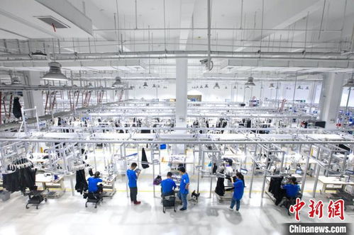 阿里動物園新成員 杭州余杭誕生的數字技術智能服裝制造企業